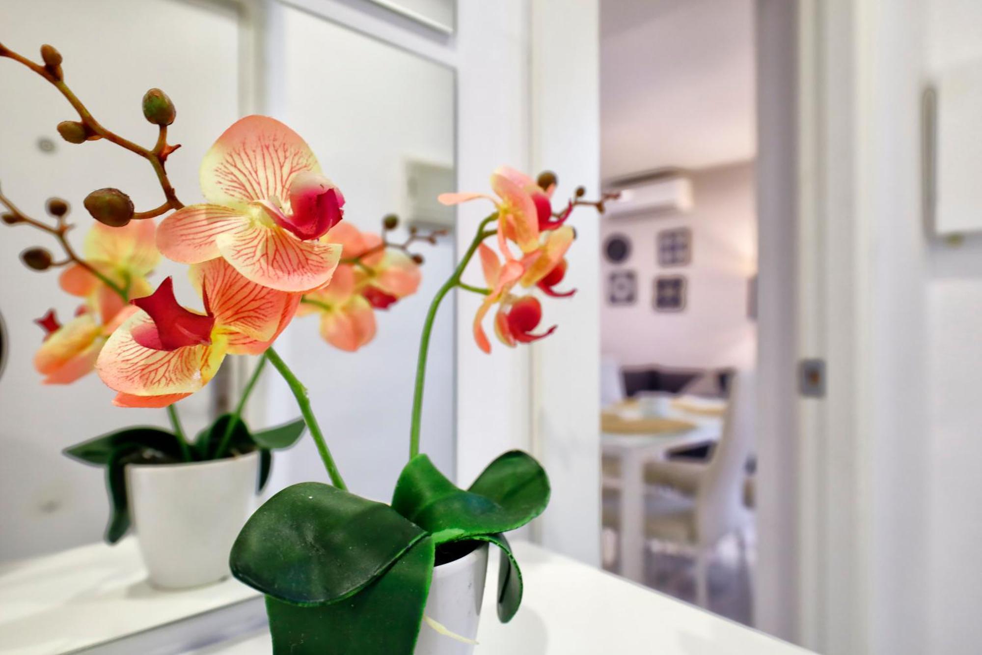 Encanto En La Juderia: Apartamento Con Patio 코르도바 외부 사진